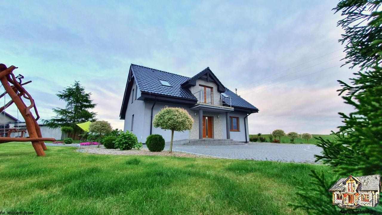 Agrosielanka Villa Lipnica  Buitenkant foto