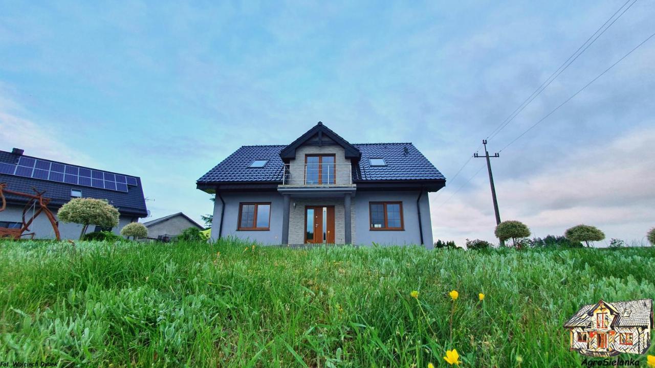 Agrosielanka Villa Lipnica  Buitenkant foto