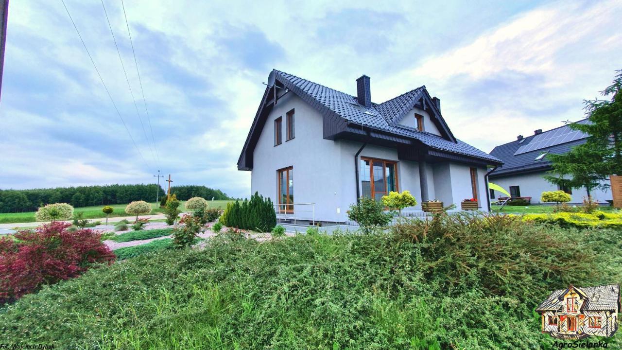Agrosielanka Villa Lipnica  Buitenkant foto