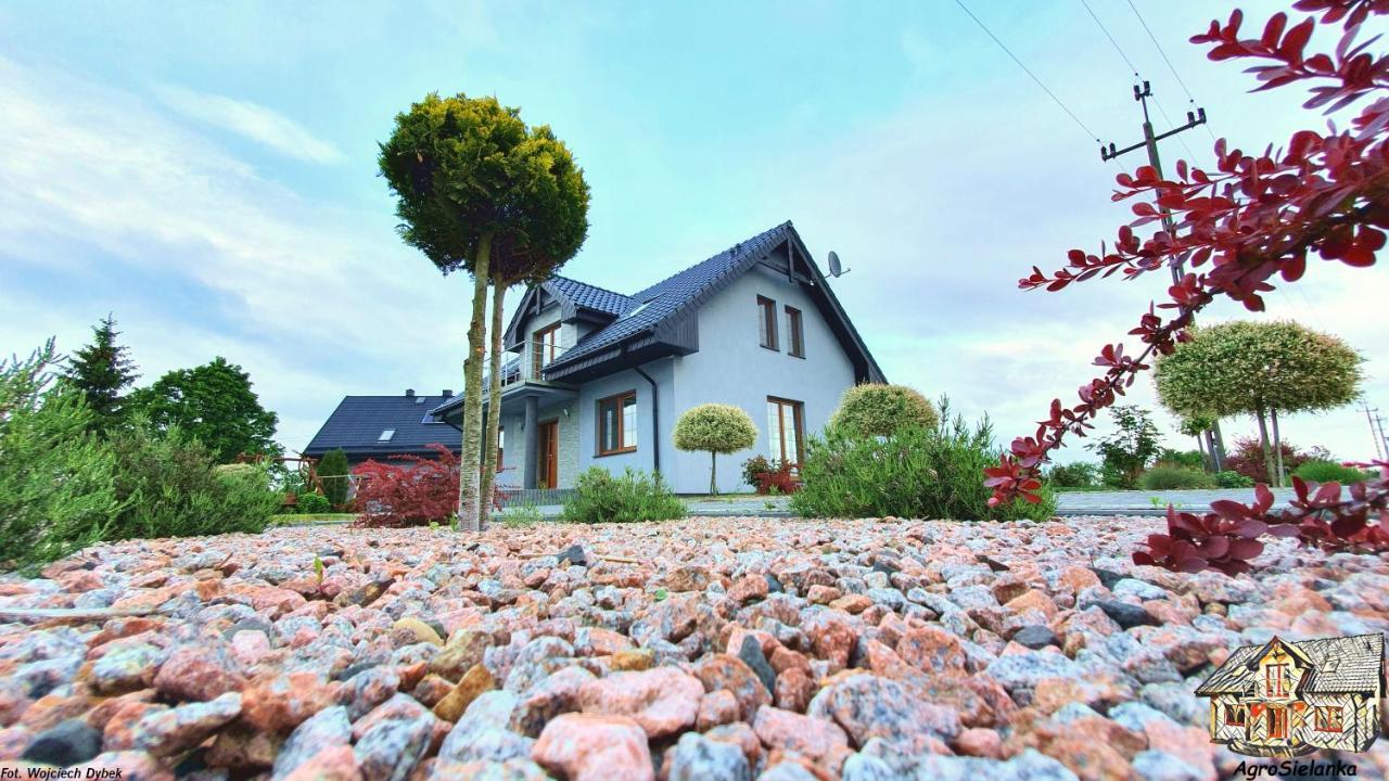 Agrosielanka Villa Lipnica  Buitenkant foto