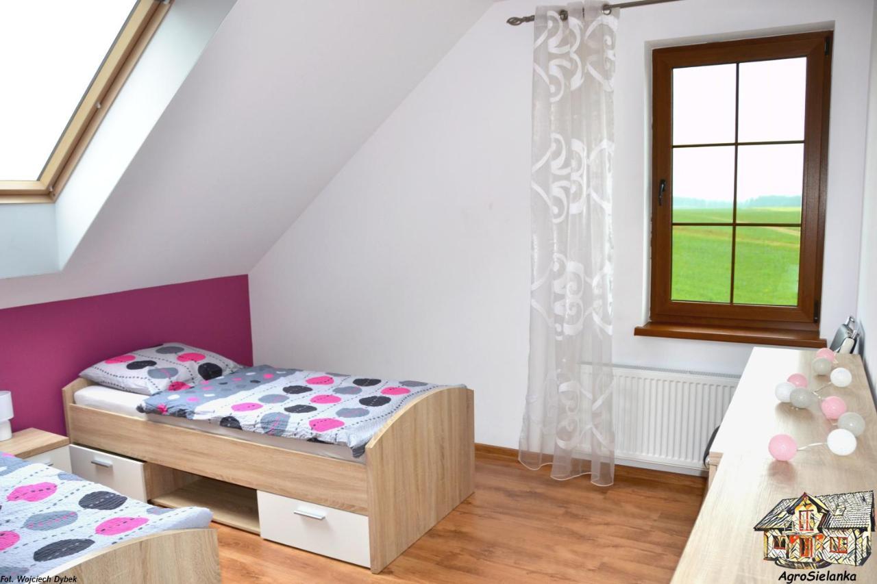 Agrosielanka Villa Lipnica  Buitenkant foto