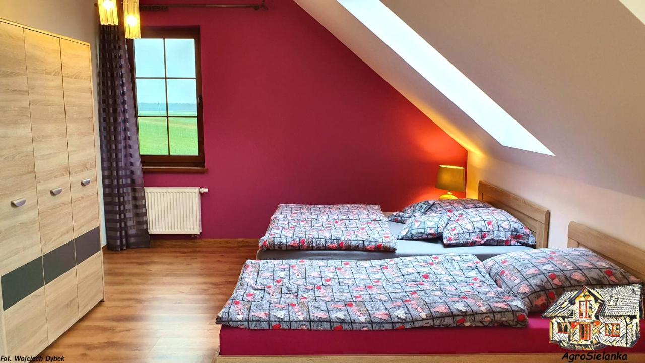 Agrosielanka Villa Lipnica  Buitenkant foto