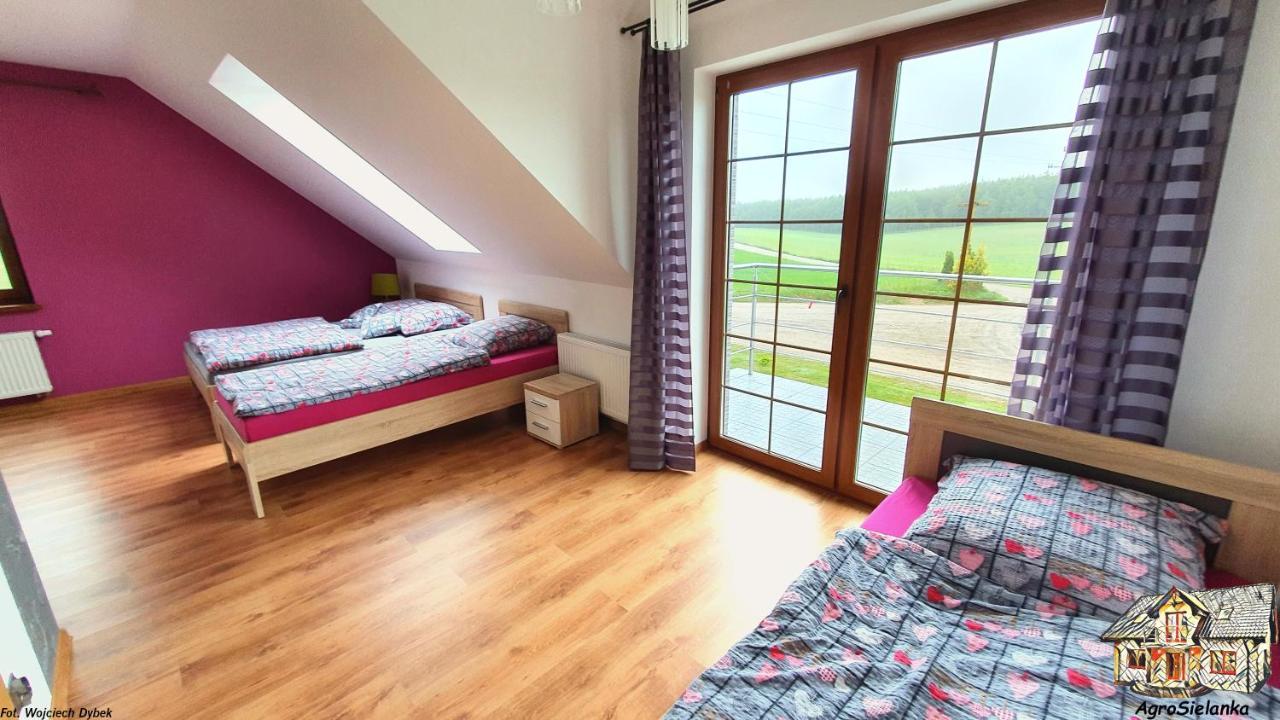 Agrosielanka Villa Lipnica  Buitenkant foto