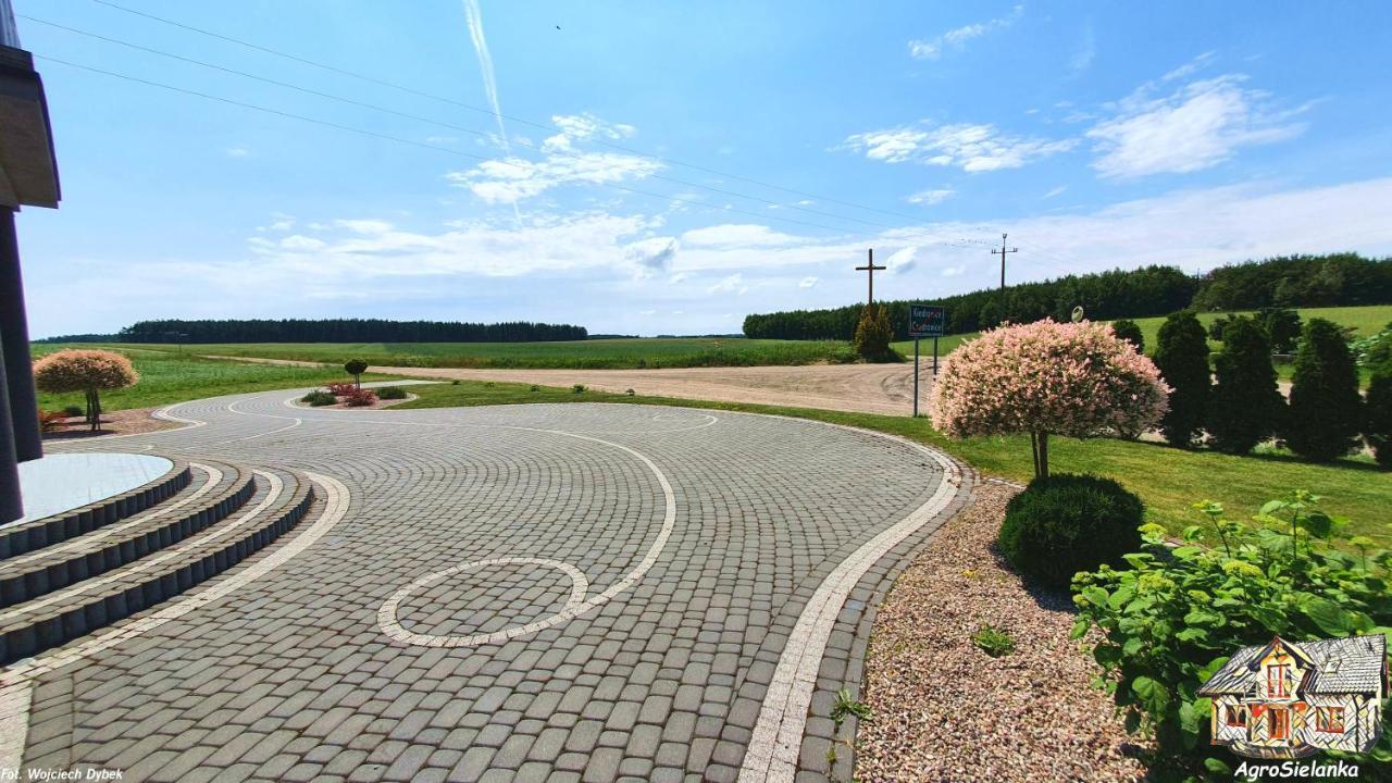 Agrosielanka Villa Lipnica  Buitenkant foto